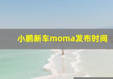 小鹏新车moma发布时间