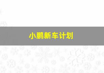 小鹏新车计划