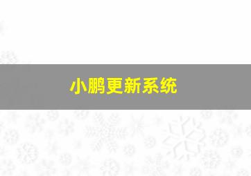 小鹏更新系统