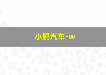 小鹏汽车-w