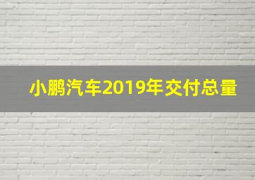 小鹏汽车2019年交付总量