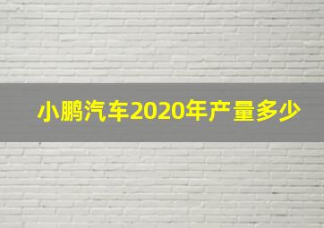 小鹏汽车2020年产量多少