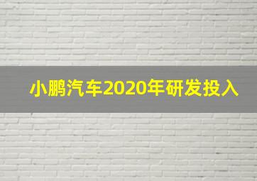 小鹏汽车2020年研发投入