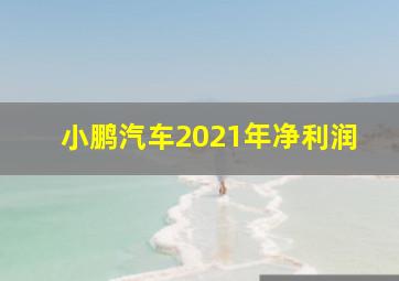 小鹏汽车2021年净利润