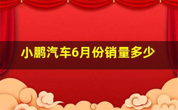 小鹏汽车6月份销量多少