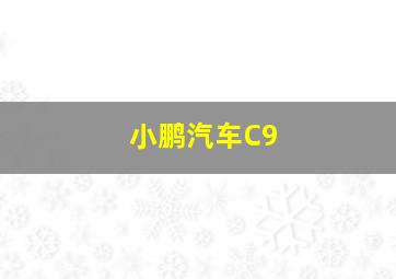 小鹏汽车C9