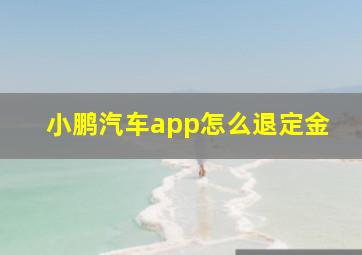 小鹏汽车app怎么退定金