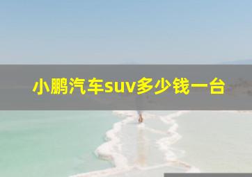 小鹏汽车suv多少钱一台