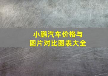 小鹏汽车价格与图片对比图表大全