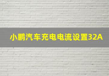 小鹏汽车充电电流设置32A