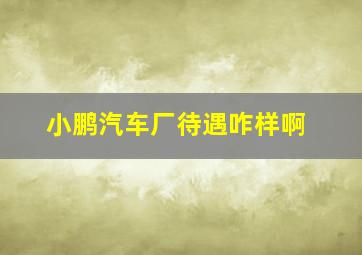 小鹏汽车厂待遇咋样啊