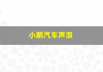 小鹏汽车声浪