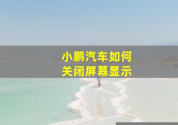 小鹏汽车如何关闭屏幕显示