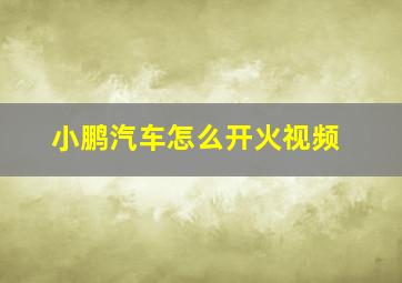 小鹏汽车怎么开火视频