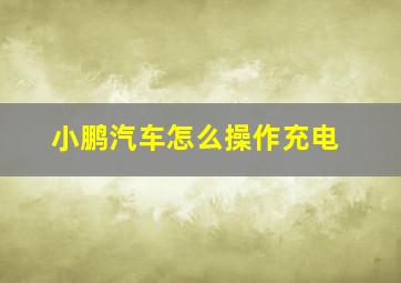 小鹏汽车怎么操作充电