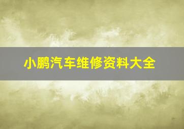 小鹏汽车维修资料大全