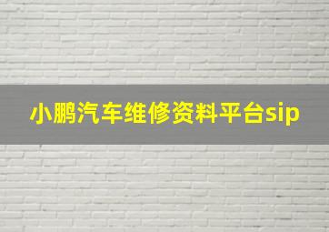 小鹏汽车维修资料平台sip