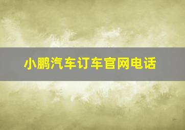 小鹏汽车订车官网电话