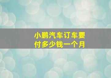 小鹏汽车订车要付多少钱一个月