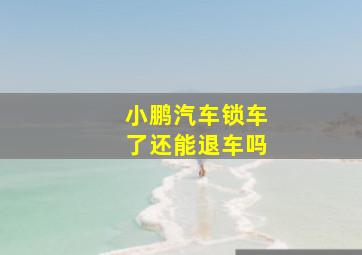 小鹏汽车锁车了还能退车吗