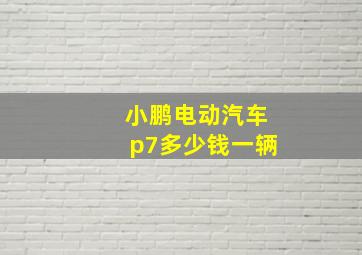 小鹏电动汽车p7多少钱一辆