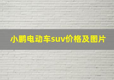 小鹏电动车suv价格及图片