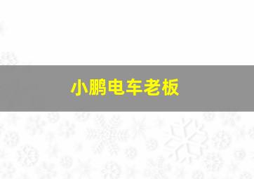 小鹏电车老板