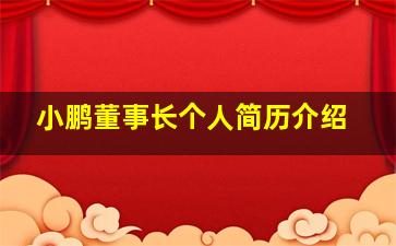 小鹏董事长个人简历介绍