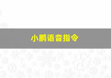 小鹏语音指令