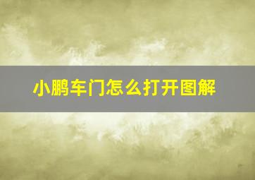 小鹏车门怎么打开图解