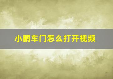 小鹏车门怎么打开视频