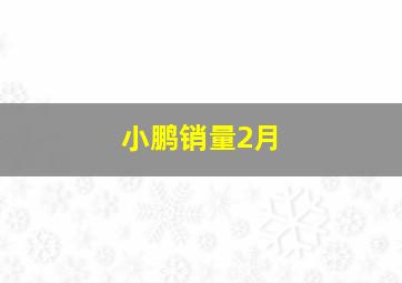 小鹏销量2月