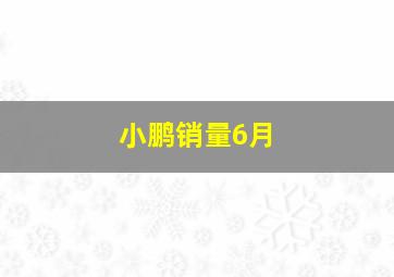 小鹏销量6月