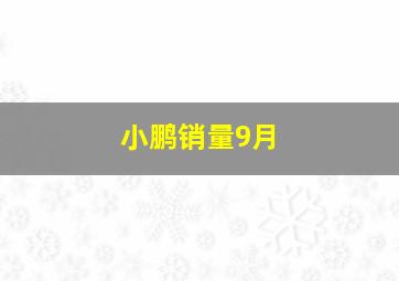 小鹏销量9月