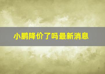 小鹏降价了吗最新消息