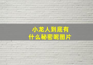 小龙人到底有什么秘密呢图片