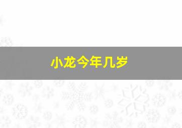 小龙今年几岁