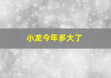 小龙今年多大了