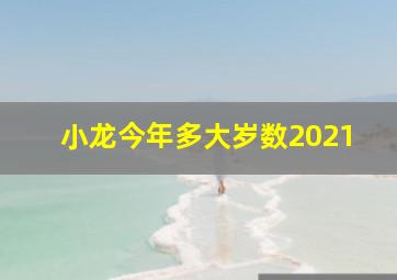 小龙今年多大岁数2021