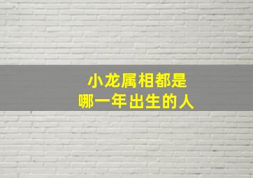 小龙属相都是哪一年出生的人