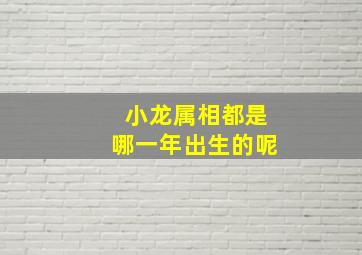 小龙属相都是哪一年出生的呢