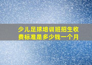 少儿足球培训班招生收费标准是多少钱一个月