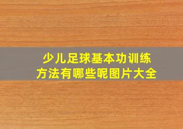 少儿足球基本功训练方法有哪些呢图片大全