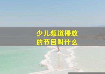 少儿频道播放的节目叫什么