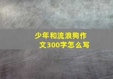 少年和流浪狗作文300字怎么写