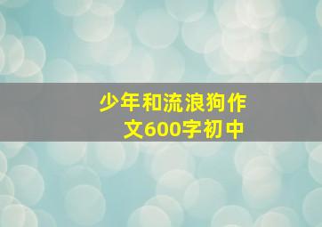 少年和流浪狗作文600字初中