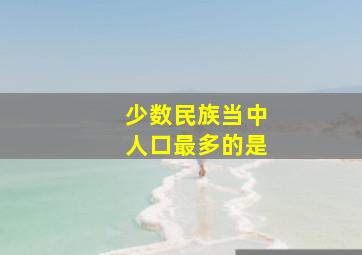 少数民族当中人口最多的是