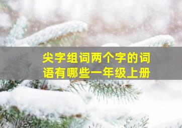 尖字组词两个字的词语有哪些一年级上册