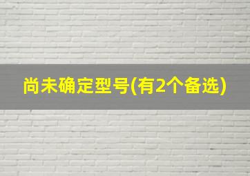 尚未确定型号(有2个备选)