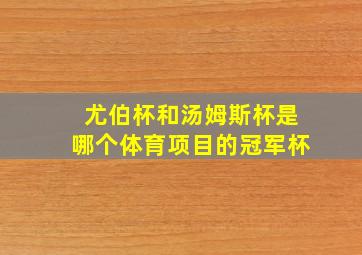 尤伯杯和汤姆斯杯是哪个体育项目的冠军杯